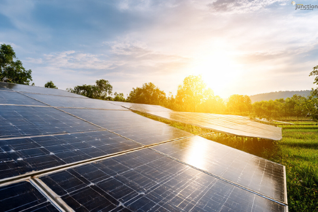 HMS Photovoltaik solar panels in a lush landscape, harnessing clean energy under the bright sunlight.