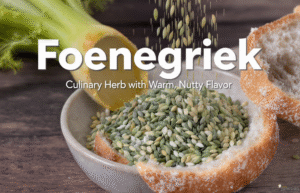 Foenegriek seeds (green and yellow) being sprinkled onto a small ceramic bowl sitting on a wooden table, with slices of bread and celery stalks in the soft focus background.